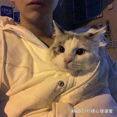 王者怒斩安卓果盘版下载